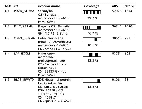 Protein Identification